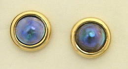 E11 Paua pearl gold stud Earrings